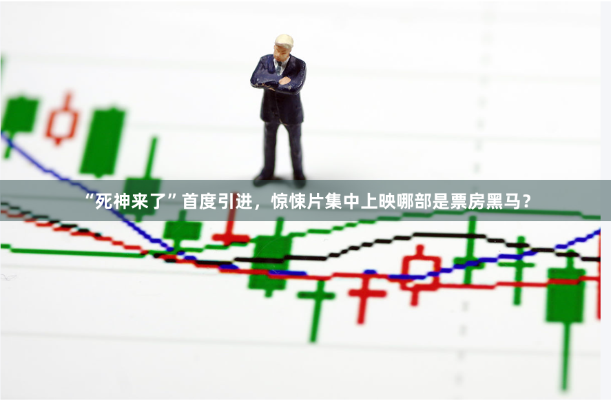 “死神来了”首度引进，惊悚片集中上映哪部是票房黑马？