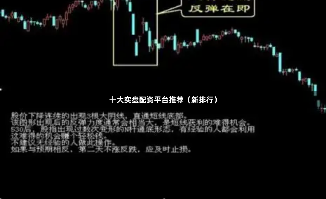 十大实盘配资平台推荐（新排行）